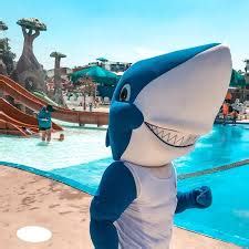 Shark mascot suit